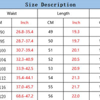 European And American 3D Printed Casual Retro Plaid Hawaiian Vacation Beach Pants Loose Shorts Men